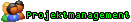 Projektmanagement
